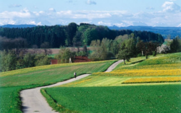 Wanderweg in Bad Waldsee, auf dem man zu Fuß die wunderschönen Landschaften der Gegend erkunden kann. Diese Route kann direkt vom Hotel Gasthaus Adler aus geplant werden.